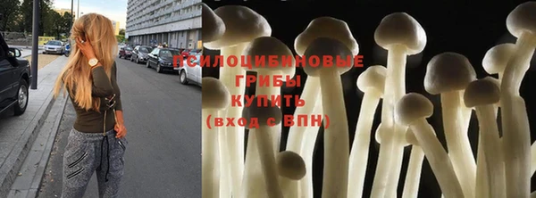 эйфоретик Верхний Тагил