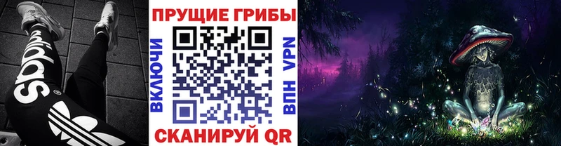 Галлюциногенные грибы Psilocybine cubensis  Голицыно 